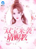 双宝来袭请赐教免费阅读