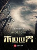 捡到一个末世世界 小说