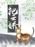 把云娇全文免费阅读无弹窗广告