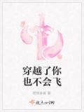 穿越了你也不会飞是什么歌