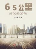 65公里的长跑爱情