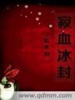 冰封血尊小说