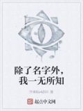 除了名字外,我一无所知是什么歌