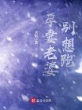 孕妻你别跑
