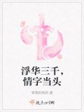 浮华三千是啥意思