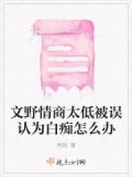 文野是什么意思啊