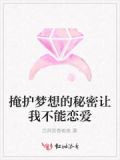 掩饰你的梦