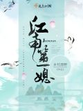 江南第一媳小说