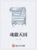 魂徽天因