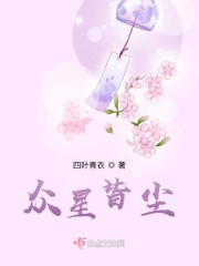 众星遇我,皆降为尘什么意思