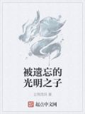 被遗忘的光明之子