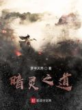 暗灵是玩家吗