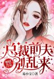 婚情告急总裁前夫别乱来 小说