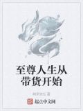 至尊人生最新