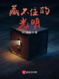 藏不住光芒的诗句