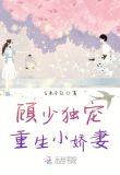 顾少独宠重生小娇妻免费阅读无弹窗TXT