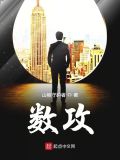 数攻略