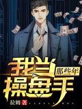 我当操盘手那些年 小说