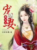重生之宠妻如命