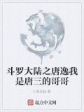 斗罗大陆之我是唐三他弟 小说