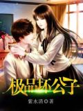 小说极品复制公子