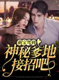 萌宝驾到甜宠神秘妻小说