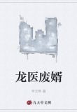 龙医废婿