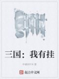 挂挂三国4399