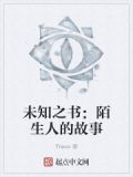 未知之书:陌生人的故事在线观看