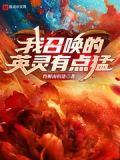 我召唤的英灵有点猛