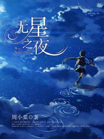 无星之夜