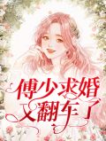 傅少暖妻