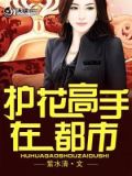 护花高手在都市TXT小说下载