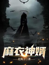 麻衣神婿结局是什么