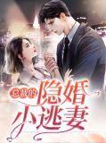 总裁的隐婚小逃妻小说