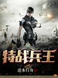 特战兵王秦照