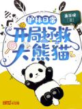 直播护林日常:国宝大熊猫赖上我