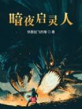 暗夜影灵
