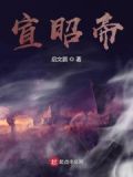 宣昭帝苻坚怎么读