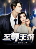 至尊王婿江承免费阅读
