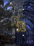 亲见辉光txt免费下载