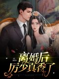 和厉少离婚后重回豪门