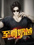 至尊奶爸在都市