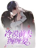 冷漠前夫缠缠爱陆安愿傅霆深