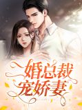 二婚总裁宠娇妻沐冰宜