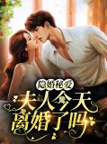 隐婚秘爱：夫人今天离婚了吗慕颜