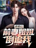 离婚后前妻倒追我电视剧