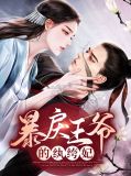 纨绔王爷神偷妃 小说