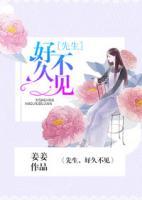 先生好久不见翻译成英文