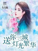 送你一城灯光繁华全文免费阅读